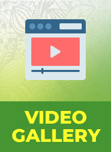 galery video