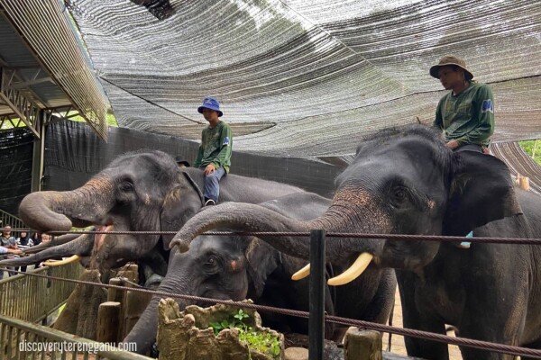 Perkampungan Konservasi Gajah Tasik Kenyir